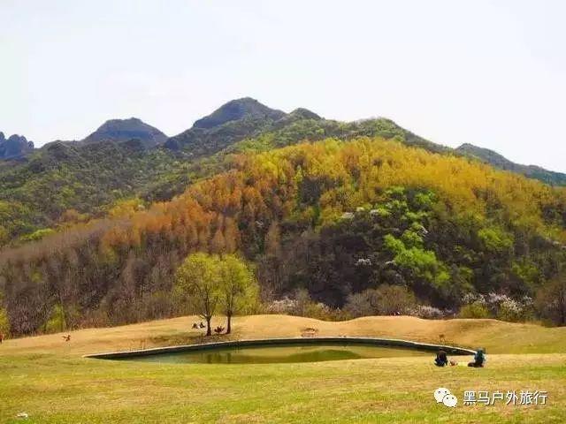 比亚迪股份发盈喜 预计2023年度归母净利润290亿到310亿元